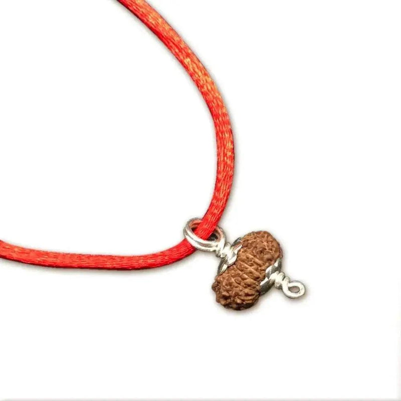 15 Mukhi Rudraksha Silver Pendant - Unleash Jupiter's Blessings | Brahmatells by Brahmatells