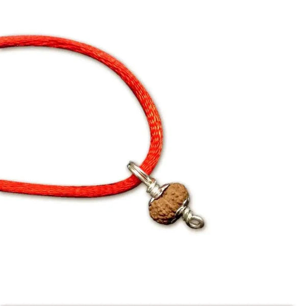 15 Mukhi Rudraksha Silver Pendant - Unleash Jupiter's Blessings | Brahmatells by Brahmatells