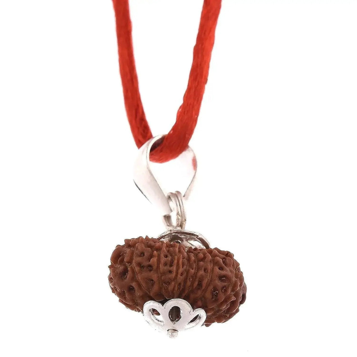 16 Mukhi Rudraksha Pendant - Triumph & Protection | Brahmatells by Brahmatells