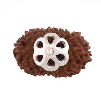 16 Mukhi Rudraksha Pendant - Triumph & Protection | Brahmatells by Brahmatells