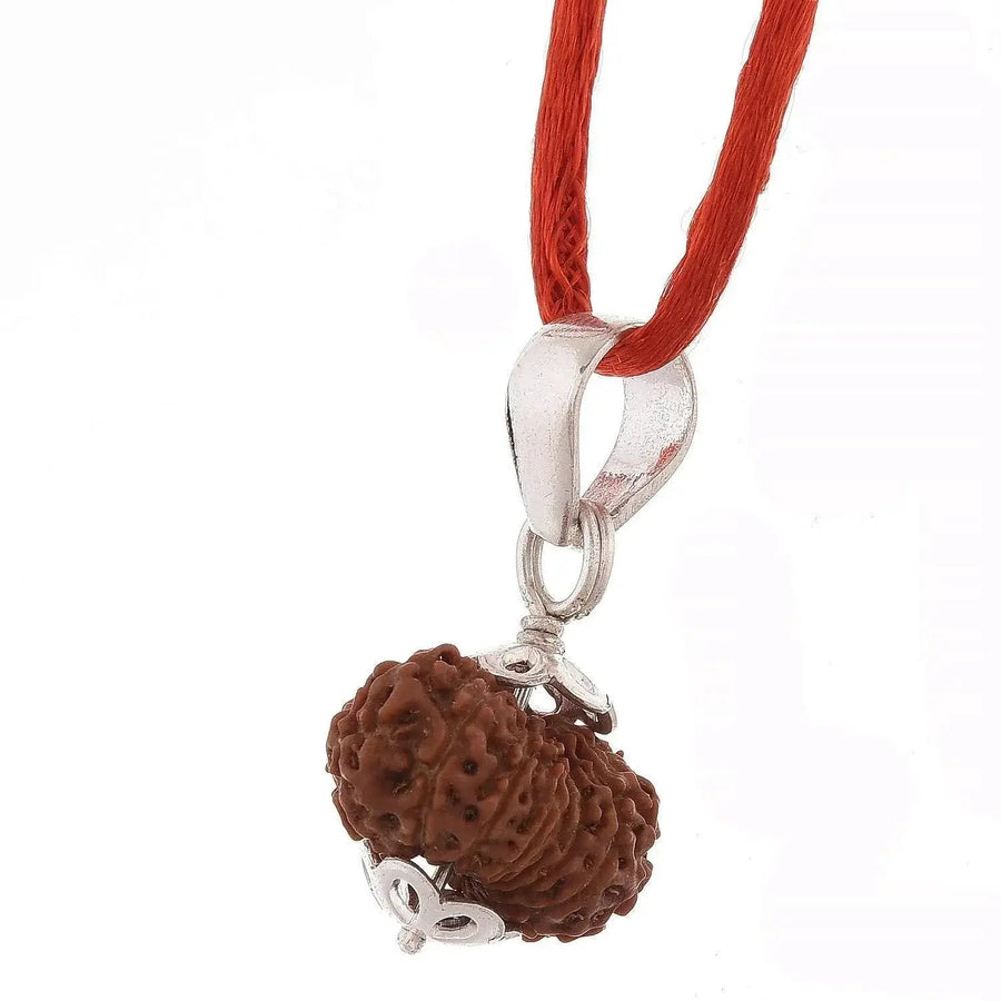 16 Mukhi Rudraksha Pendant - Triumph & Protection | Brahmatells by Brahmatells