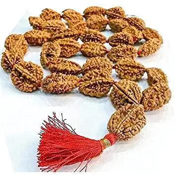 2 Mukhi Rudraksh Mala for Spiritual Harmony | Brahmatells by Brahmatells