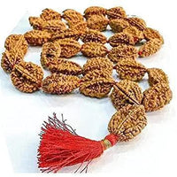 2 Mukhi Rudraksh Mala for Spiritual Harmony | Brahmatells by Brahmatells