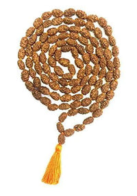 2 Mukhi Rudraksh Mala for Spiritual Harmony | Brahmatells by Brahmatells