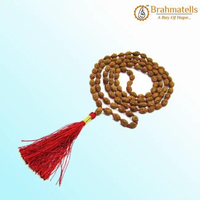 2 Mukhi Rudraksh Mala for Spiritual Harmony | Brahmatells by Brahmatells
