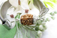 2 Mukhi Rudraksha Bracelet - Harmony & Balance | Brahmatells by Brahmatells