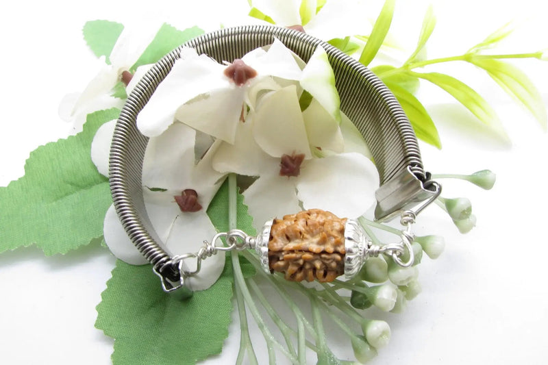 2 Mukhi Rudraksha Bracelet - Harmony & Balance | Brahmatells by Brahmatells