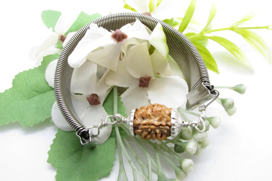 2 Mukhi Rudraksha Bracelet - Harmony & Balance | Brahmatells by Brahmatells