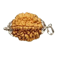 2 Mukhi Rudraksha Pendant: Harmonizing Dual Energies | Brahmatells by Brahmatells