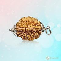 2 Mukhi Rudraksha Pendant: Harmonizing Dual Energies | Brahmatells by Brahmatells