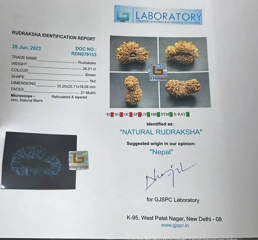 21 Mukhi Rudraksha from Nepal - Kubera's Blessing for Prosperity | Brahmatells by Brahmatells