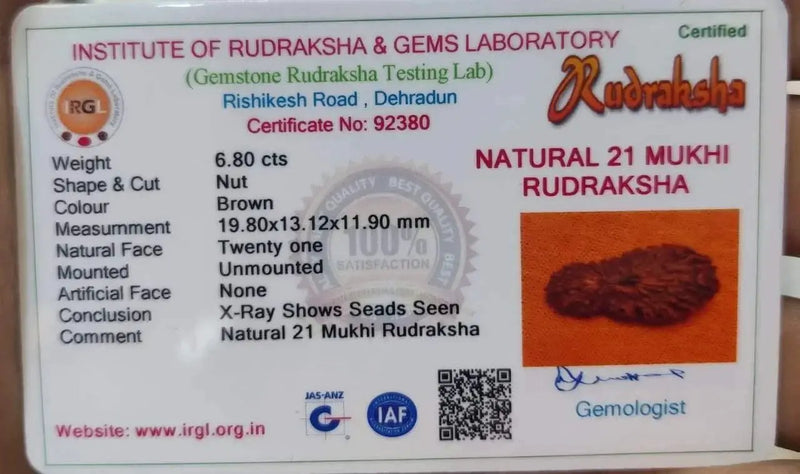 21 Mukhi Rudraksha Java - Attain Kubera's Wealth & Protection | Brahmatells by Brahmatells