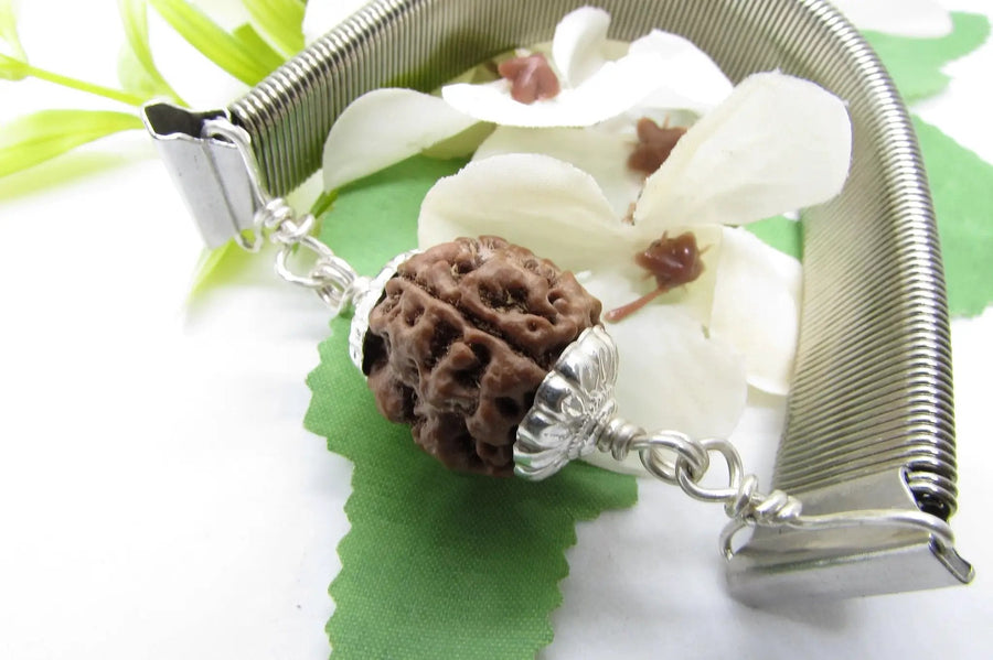 3 Mukhi Rudraksha Bracelet - Empowerment & Vitality | Brahmatells by Brahmatells