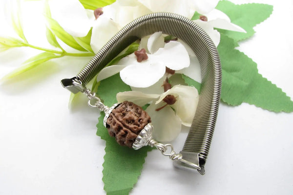 3 Mukhi Rudraksha Bracelet - Empowerment & Vitality | Brahmatells by Brahmatells