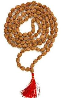 3 Mukhi Rudraksha Mala: Unleash Your Inner Fire | Brahmatells by Brahmatells