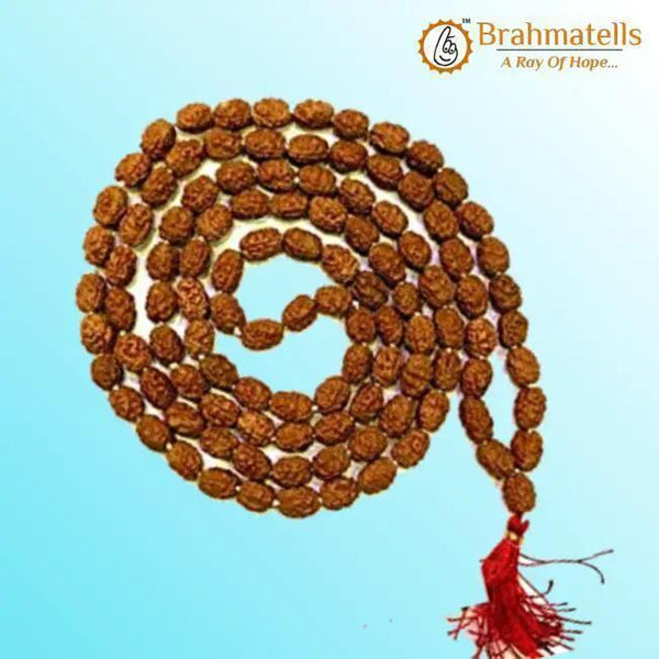 3 Mukhi Rudraksha Mala: Unleash Your Inner Fire | Brahmatells by Brahmatells