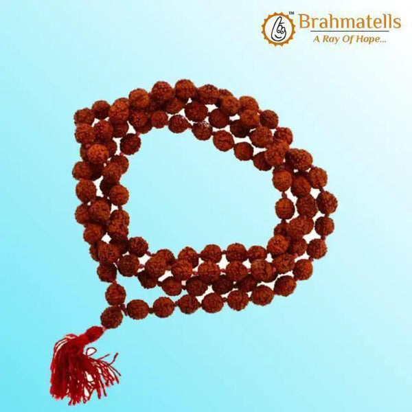 3 Mukhi Rudraksha Mala: Unleash Your Inner Fire | Brahmatells by Brahmatells