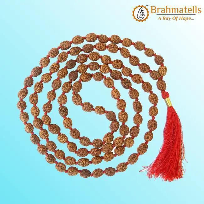 3 Mukhi Rudraksha Mala: Unleash Your Inner Fire | Brahmatells by Brahmatells