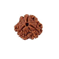 3 Mukhi Rudraksha Pendant - Embrace Agni's Transformative Power | Brahmatells by Brahmatells