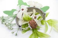 4 Mukhi Rudraksha Bracelet for Knowledge & Creativity | Brahmatells by Brahmatells