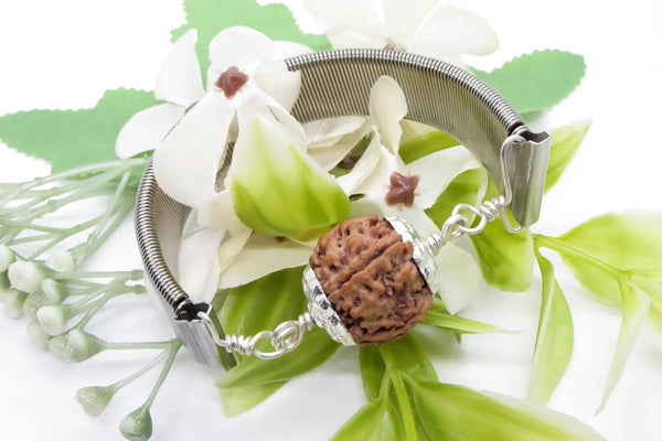 4 Mukhi Rudraksha Bracelet for Knowledge & Creativity | Brahmatells by Brahmatells