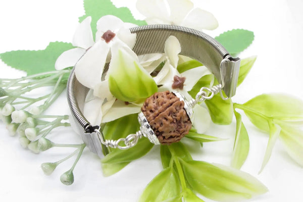 4 Mukhi Rudraksha Bracelet for Knowledge & Creativity | Brahmatells by Brahmatells