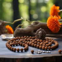 4 Mukhi Rudraksha Mala - A Gateway to Intellectual Awakening | Brahmatells by Brahmatells