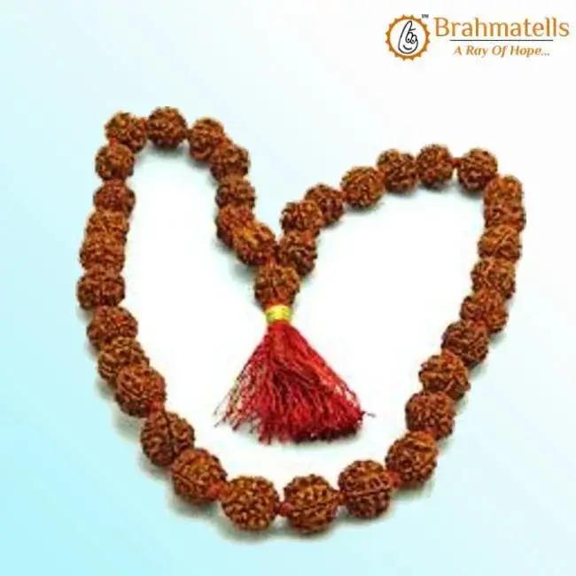 4 Mukhi Rudraksha Mala - A Gateway to Intellectual Awakening | Brahmatells by Brahmatells