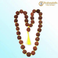 4 Mukhi Rudraksha Mala - A Gateway to Intellectual Awakening | Brahmatells by Brahmatells