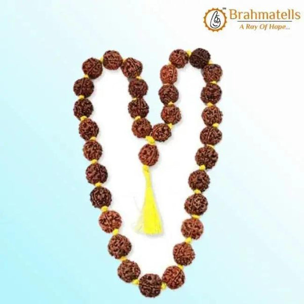 4 Mukhi Rudraksha Mala - A Gateway to Intellectual Awakening | Brahmatells by Brahmatells