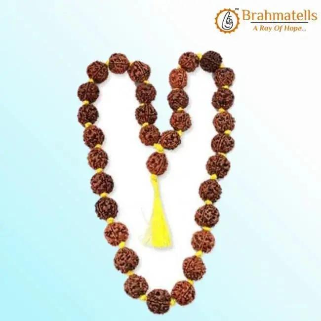4 Mukhi Rudraksha Mala - A Gateway to Intellectual Awakening | Brahmatells by Brahmatells