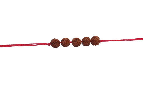 5 Mukhi Rudraksha Band by Brahmatells