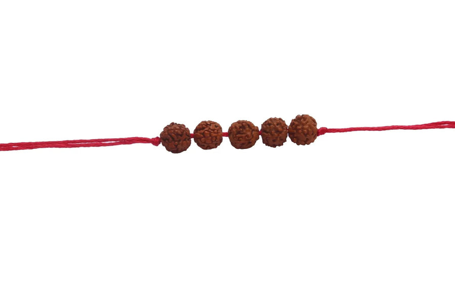 5 Mukhi Rudraksha Band by Brahmatells