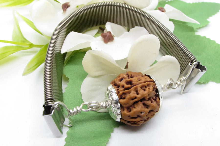 5 Mukhi Rudraksha Bracelet with Silver Pendant - Spiritual Elegance | Brahmatells by Brahmatells