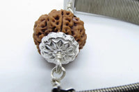 5 Mukhi Rudraksha Bracelet with Silver Pendant - Spiritual Elegance | Brahmatells by Brahmatells