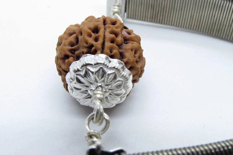 5 Mukhi Rudraksha Bracelet with Silver Pendant - Spiritual Elegance | Brahmatells by Brahmatells