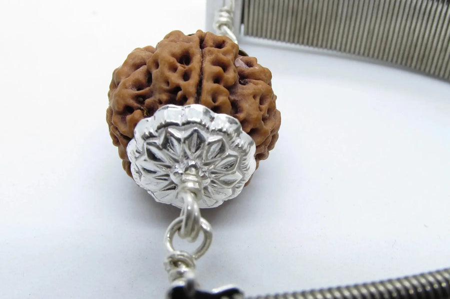 5 Mukhi Rudraksha Bracelet with Silver Pendant - Spiritual Elegance | Brahmatells by Brahmatells