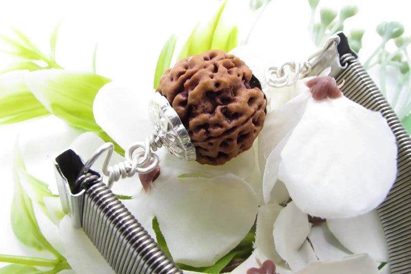 5 Mukhi Rudraksha Bracelet with Silver Pendant - Spiritual Elegance | Brahmatells by Brahmatells