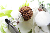 5 Mukhi Rudraksha Bracelet with Silver Pendant - Spiritual Elegance | Brahmatells by Brahmatells