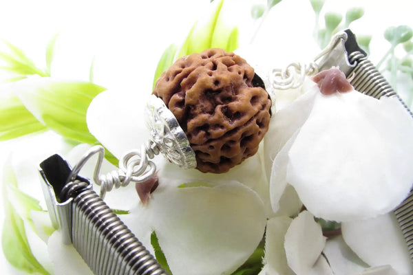 5 Mukhi Rudraksha Bracelet with Silver Pendant - Spiritual Elegance | Brahmatells by Brahmatells