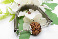 5 Mukhi Rudraksha Bracelet with Silver Pendant - Spiritual Elegance | Brahmatells by Brahmatells