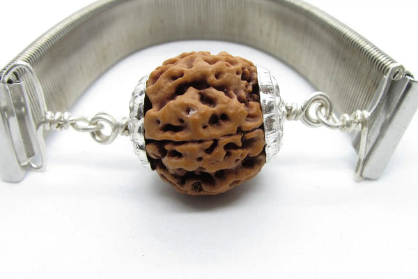 5 Mukhi Rudraksha Bracelet with Silver Pendant - Spiritual Elegance | Brahmatells by Brahmatells