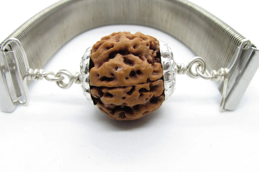 5 Mukhi Rudraksha Bracelet with Silver Pendant - Spiritual Elegance | Brahmatells by Brahmatells