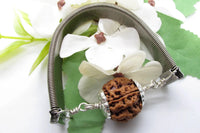 5 Mukhi Rudraksha Bracelet with Silver Pendant - Spiritual Elegance | Brahmatells by Brahmatells