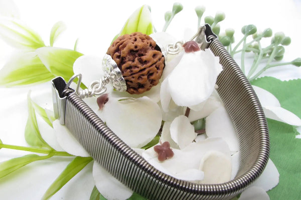 5 Mukhi Rudraksha Bracelet with Silver Pendant - Spiritual Elegance | Brahmatells by Brahmatells