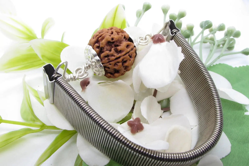 5 Mukhi Rudraksha Bracelet with Silver Pendant - Spiritual Elegance | Brahmatells by Brahmatells