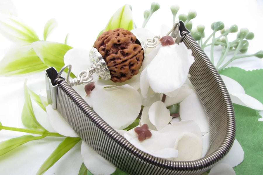 5 Mukhi Rudraksha Bracelet with Silver Pendant - Spiritual Elegance | Brahmatells by Brahmatells