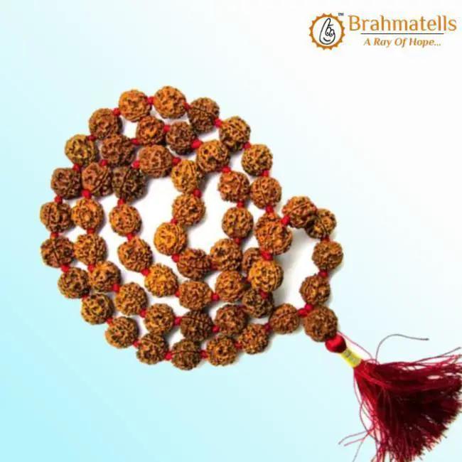 5 Mukhi Rudraksha Mala for Meditation & Harmony | Brahmatells by Brahmatells