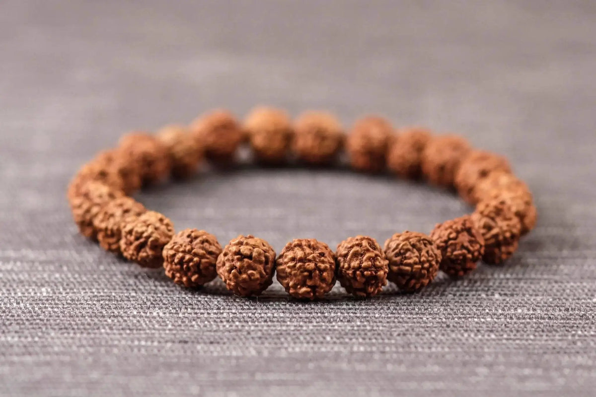 5 Mukhi Rudraksha Seed Stretch Bracelet by Brahmatells