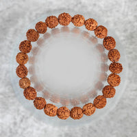 5 Mukhi Rudraksha Seed Stretch Bracelet by Brahmatells